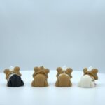 Guinea pigs - Image 3