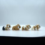 Guinea pigs - Image 2