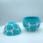 Jajce morskega zmaja - slika 2