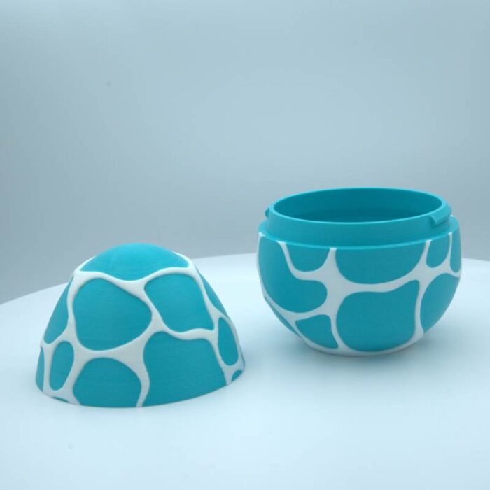 Jajce morskega zmaja - slika 2