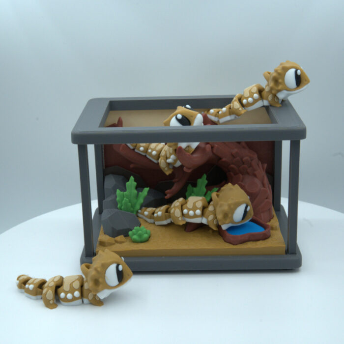 Agama terarij - slika 2