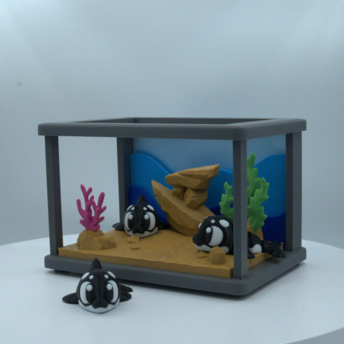 Akvarij z Orkami - slika 2